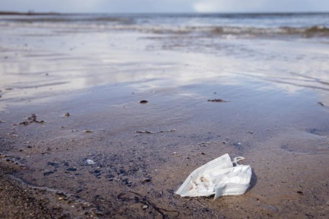 Discarded face mask on the beach Baltic Sea