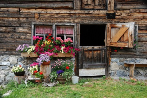 Flower decoration in front of alpine hut in Lechtal, Tyrol, Austria, Europe