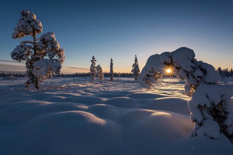 Winter landscape, Muddus National Park, Laponia World Heritage Site, Norrbotten, Lapland, Sweden,