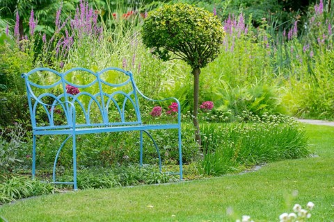 Blue bench in the district educational garden, Burgsteinfurt, Münsterland, North Rhine-Westphalia,