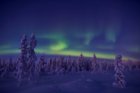 Northern Lights (Aurora borealis), Stubba Nature Reserve, Laponia World Heritage Site, Norrbotten,