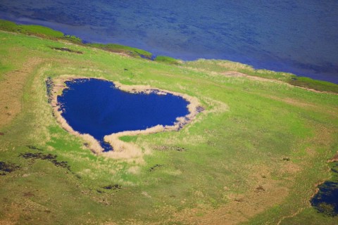 East coast, heart-shaped pond, Hiddensee Island, Baltic Sea, Mecklenburg-Western Pomerania,