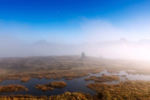 Rising fog at Filzenlacke peat bog, Filzenlacke, Zillertal, Schwendau, Tyrol, Austria, Europe
