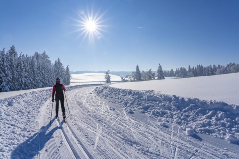 Pretty active senior woman cross-country skiing in freshly fallen powder snow in the Allgäu Alps
