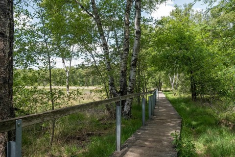 Fürstenkuhle nature conservation and FFH area, Gescher