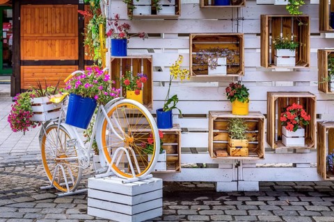 Wroclaw, Poland Old Town Rynek Market Square colorful bicycle and flowers decorations