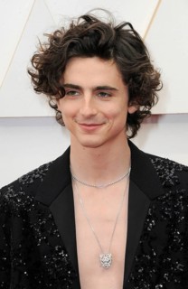 Timothée Chalamet at the 94th Annual Academy Awards held at the Dolby Theatre in Los Angeles, USA