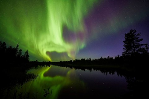 Northern Lights (Aurora borealis) over a lake, Norrbotten, Lapland, Sweden, September 2014, Europe