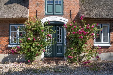 House entrance with roses