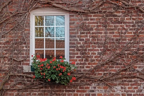 Muntin windows