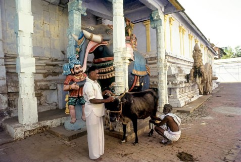 Nataraja Mantap Chariot drawn by horse and elephant in Nageswara Vaishanavite temple in Kumbakonam,