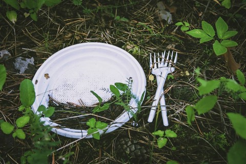 Plastic waste on the ground in forest, plate and fork left after a picnic