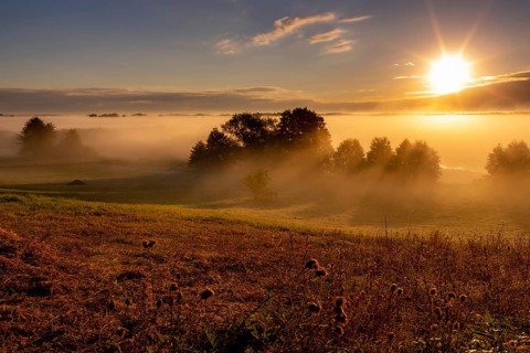 Sunrise on the Biebrza River in the Biebrza National Park. Burzyn, Podlasie, Poland, Europe
