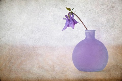 Blue columbine (aquilegia vulgaris) in a small vase with overlaid texture
