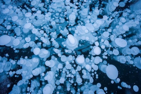 A mesmerizing view of numerous frozen bubbles captured in a thick layer of ice on a lake, creating