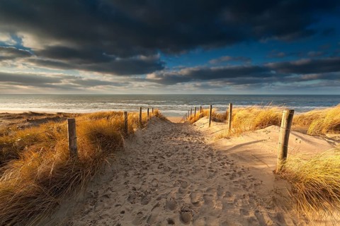 Sand path to North sea beach, Zandvoort, Netherlands