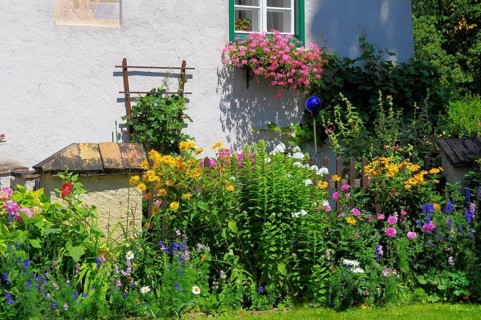 Peasant Garden, Wachau, Perennial Garden