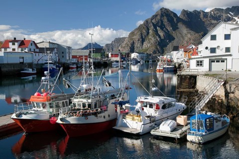 Fishing boats in the harbor, Henningsvaer, Henningsvær, Heimöya, Heimøya, Lofoten, Nordland,