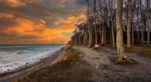 Panorama Steep Coast Baltic Sea Nienhagen