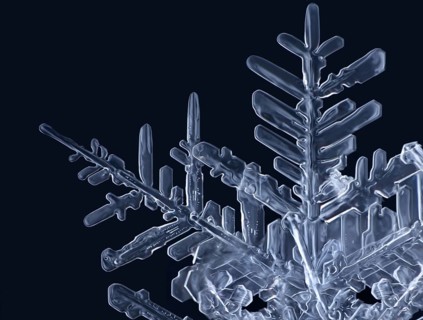 Detail of a real snowflake against a black background