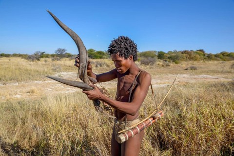 Bushman of the Ju/? Hoansi-San in a traditional hunt with bow and arrow, inspects the horn of a