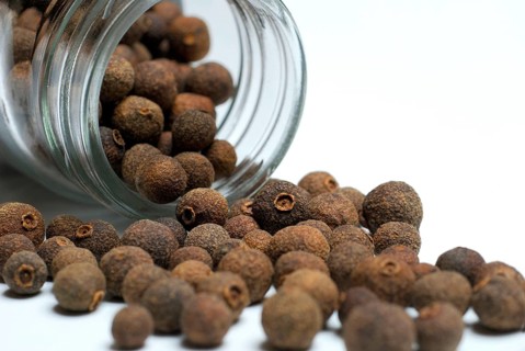 Allspice (Pimenta dioica officinalis) clove pepper, Jamaica pepper, new spice, four spice, koerner