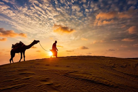 Indian cameleer (camel driver) bedouin with camel silhouettes in sand dunes of Thar desert on