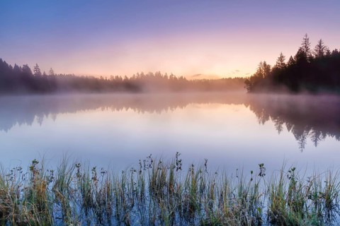 Atmospheric dawn with wafts of mist over the mirror-smooth moorland lake Étang de la Gruère in the