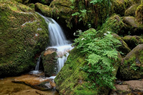 Gertelbach Waterfalls, Gertelbach Gorge, Bühlertal, Rastatt, Black Forest, Baden-Württemberg,