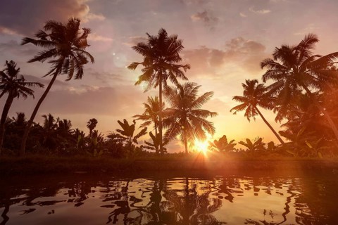 Kerala travel tourism background, Sunset on Kerala backwaters. Allepey, Kerala, India. Lens flare