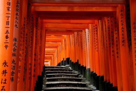 Red Gates, Torii Gates, Avenue of Torii, Taisha, Kyoto, Tori, Fushimi Inari Shrine, Kyoto, Japan,