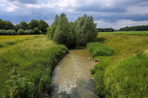 Kamen, Ruhr area, North Rhine-Westphalia, Germany, Spring landscape on the Seseke. The