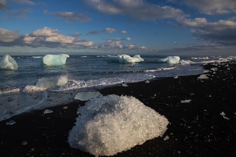 Little icebergs and crushed ice on the black beach at Joekulsarlon glacial lake