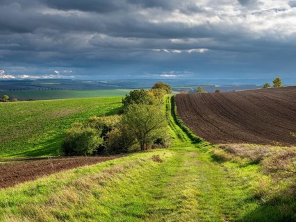 Field path through field landscape in the evening light, battlefield of 1806, Battle of Jena and