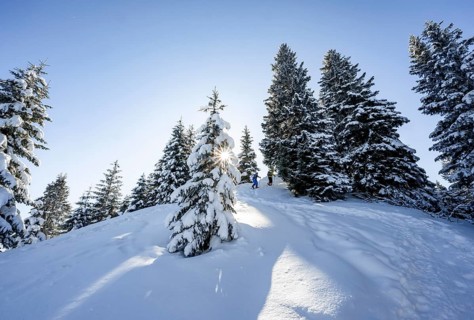 Snowshoe hiker in snowy winter forest with sun star, ascent to Teufelstättkopf, Snowy mountain