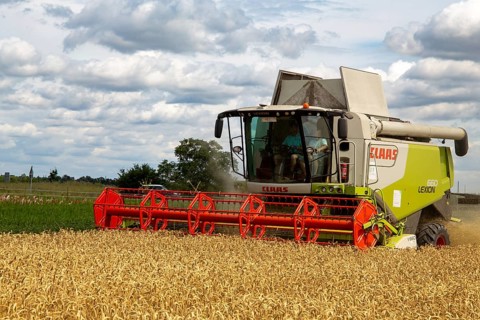 Grain harvest in the Rhein-Pfalz district near Mutterstadt