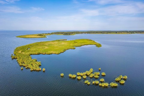 Aerial view, drone photo: Lysa Wyspa island covered with reeds, Kahleberg, Nowe Warpno, Szczecin