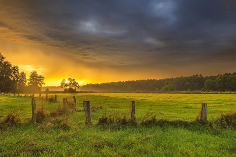 View of a wooden fence over green meadows at the edge of a forest with an intense sunset, Neustadt