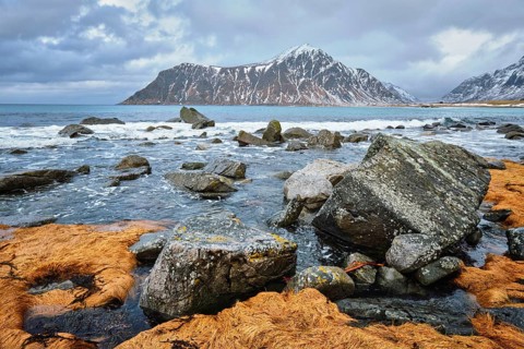 Rocky coast of fjord of Norwegian sea in winter with snow. Skagsanden beach, Lofoten islands,