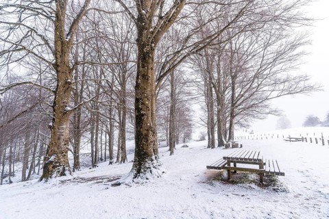 Snowy sunrise at the picnic area next to the refuge of Mount Aizkorri in Gipuzkoa. Snowy landscape