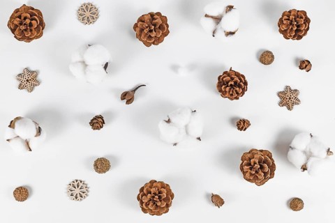 Winter arrangement with fir cones, snowflake ornaments and cotton (Gossypium) on white background