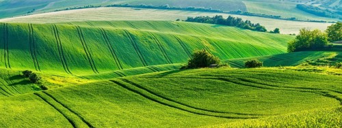 European rural wallpaper, panorama of Moravian rolling fields landscape, Moravia, Czech Republic,