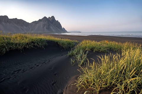 Black beach with volcanic sand, sandy beach, dunes with grass, Stokksnes headland, Klifatindur