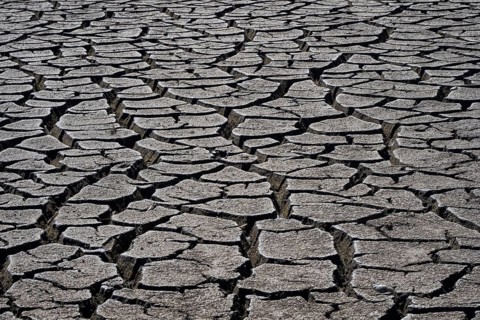Heavily desiccated soil of Lake Neusiedl, Lake Neusiedl-Seewinkel National Park, Illmitz,