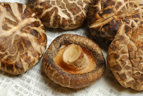 Shitake mushrooms, dried, on Chinese newspaper, Shiitake (Lentinus edodes) Shitake, medicinal