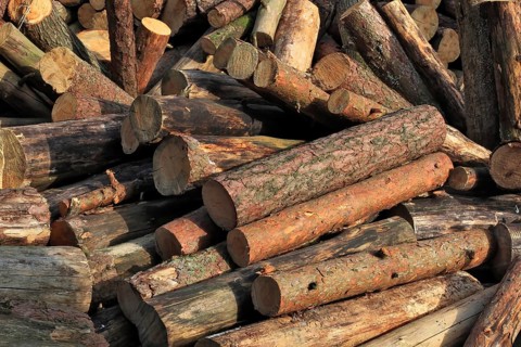Firewood, logs, sawn into metre pieces
