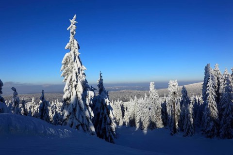 Winter landscape in the Fichtelgebirge, Bayreuth district, Upper Franconia, Bavaria, Germany,