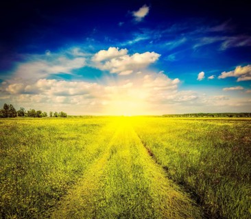 Vintage retro effect filtered hipster style image of spring summer background, rural road in green