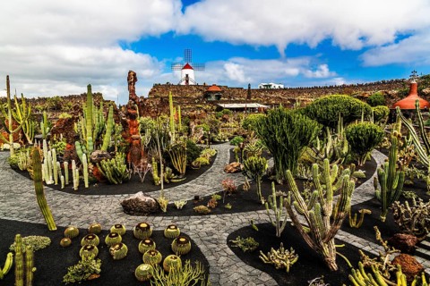2016, Guatiza, Lanzarote, Jardin de Cactus by Cesar Manrique, ESP, Spain, Canary Islands, Canary