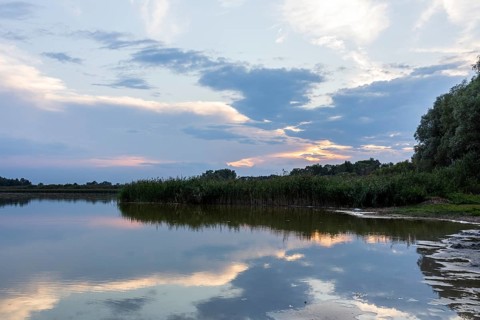 Lake Varchentin, evening mood on the shore, Mecklenburg Lake District, Mecklenburg-Western